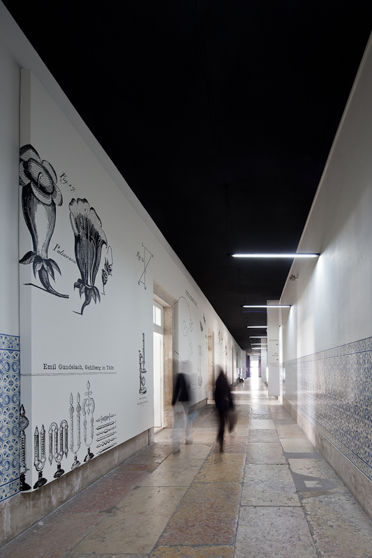 Museu Nacional de História Natural e da Ciência