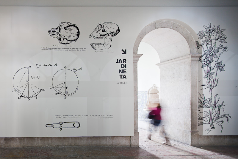 Museu Nacional de História Natural e da Ciência