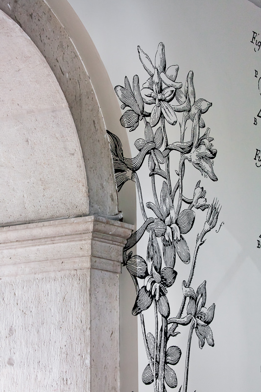 Museu Nacional de História Natural e da Ciência