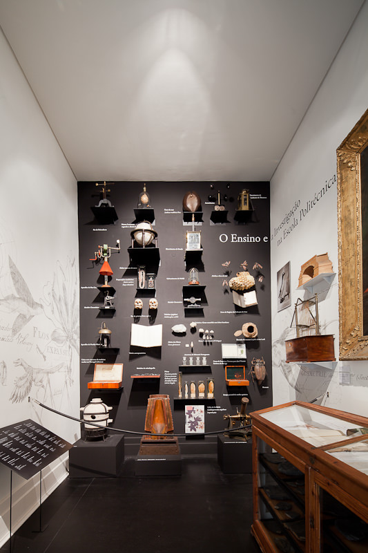 Museu Nacional de História Natural e da Ciência
